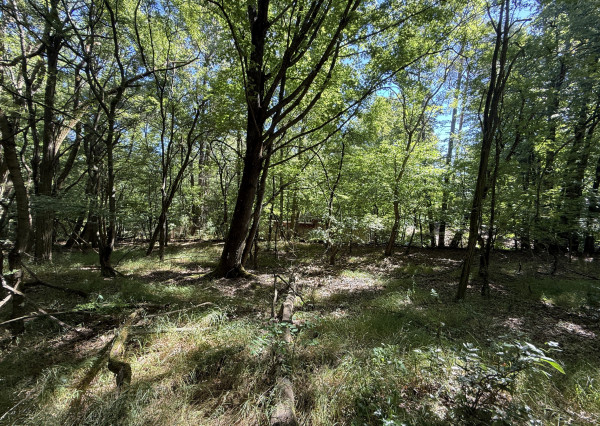 Výnimočný pozemok v srdci Malých Karpát | Modra | 2 845 m²