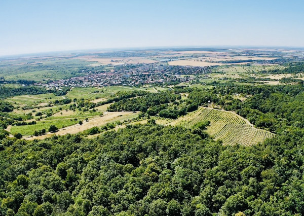 Výnimočný pozemok v srdci Malých Karpát | Modra | 2 845 m²
