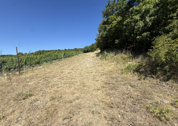 Výnimočný pozemok v srdci Malých Karpát | Modra | 2 845 m²
