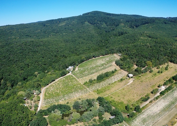 Výnimočný pozemok v srdci Malých Karpát | Modra | 2 845 m²