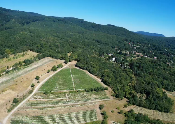 Výnimočný pozemok v srdci Malých Karpát | Modra | 2 845 m²
