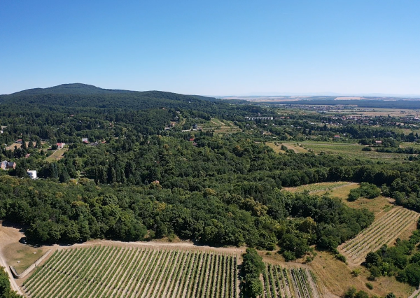 Výnimočný pozemok v srdci Malých Karpát | Modra | 2 845 m²