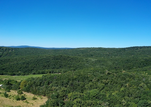 Výnimočný pozemok v srdci Malých Karpát | Modra | 2 845 m²