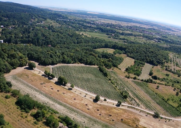 Výnimočný pozemok v srdci Malých Karpát | Modra | 2 845 m²