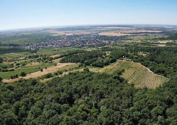 Výnimočný pozemok v srdci Malých Karpát | Modra | 2 845 m²