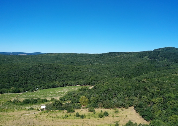 Výnimočný pozemok v srdci Malých Karpát | Modra | 2 845 m²