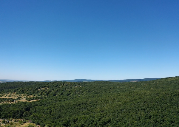 Výnimočný pozemok v srdci Malých Karpát | Modra | 2 845 m²