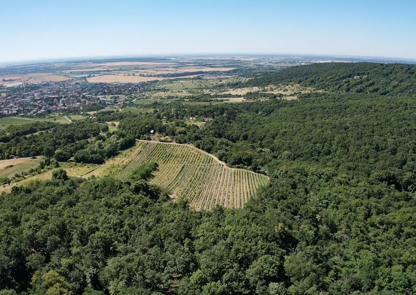 Výnimočný pozemok v srdci Malých Karpát | Modra | 2 845 m²