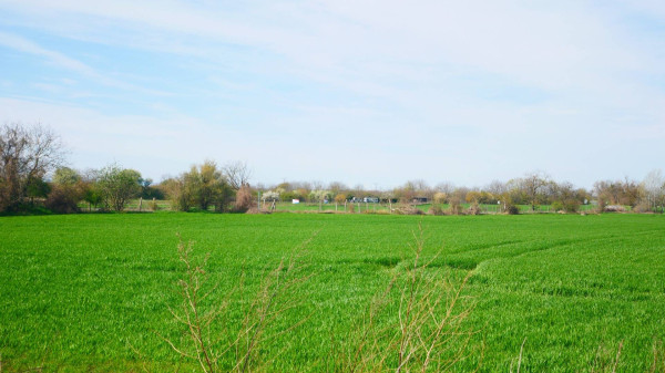 AVENUE | rovinatý pozemok, výhodná investícia, Čuňovo.