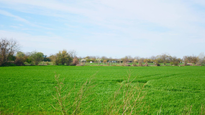 AVENUE | rovinatý pozemok, výhodná investícia, Čuňovo.